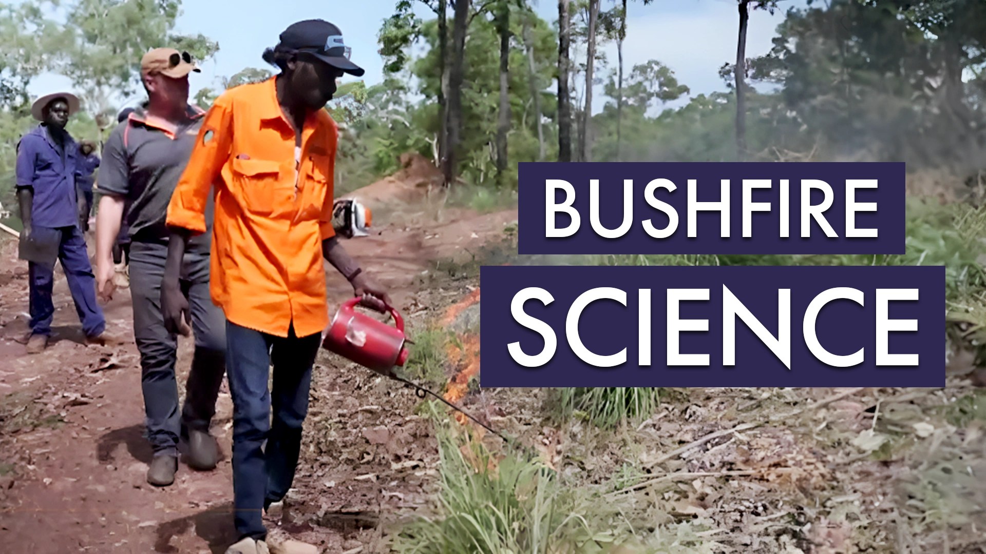 Bushfire Science Video Resources Clickview