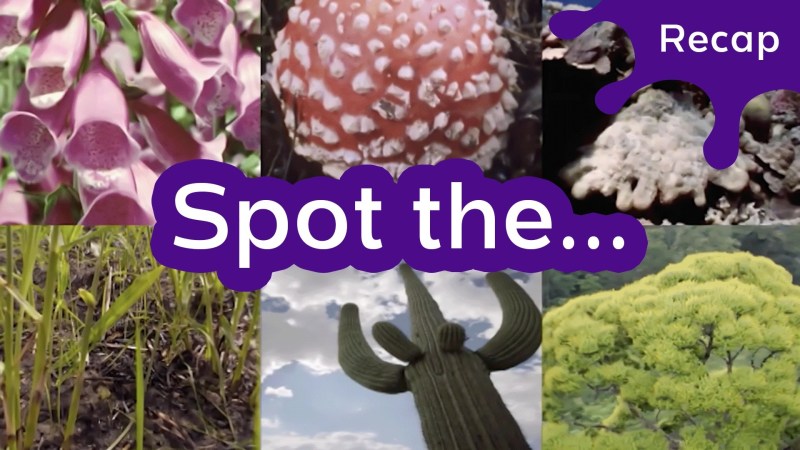 Year 9 Science Exploring Environmental Variation Classification - Artistic HD Nature Backgrounds | Free Download