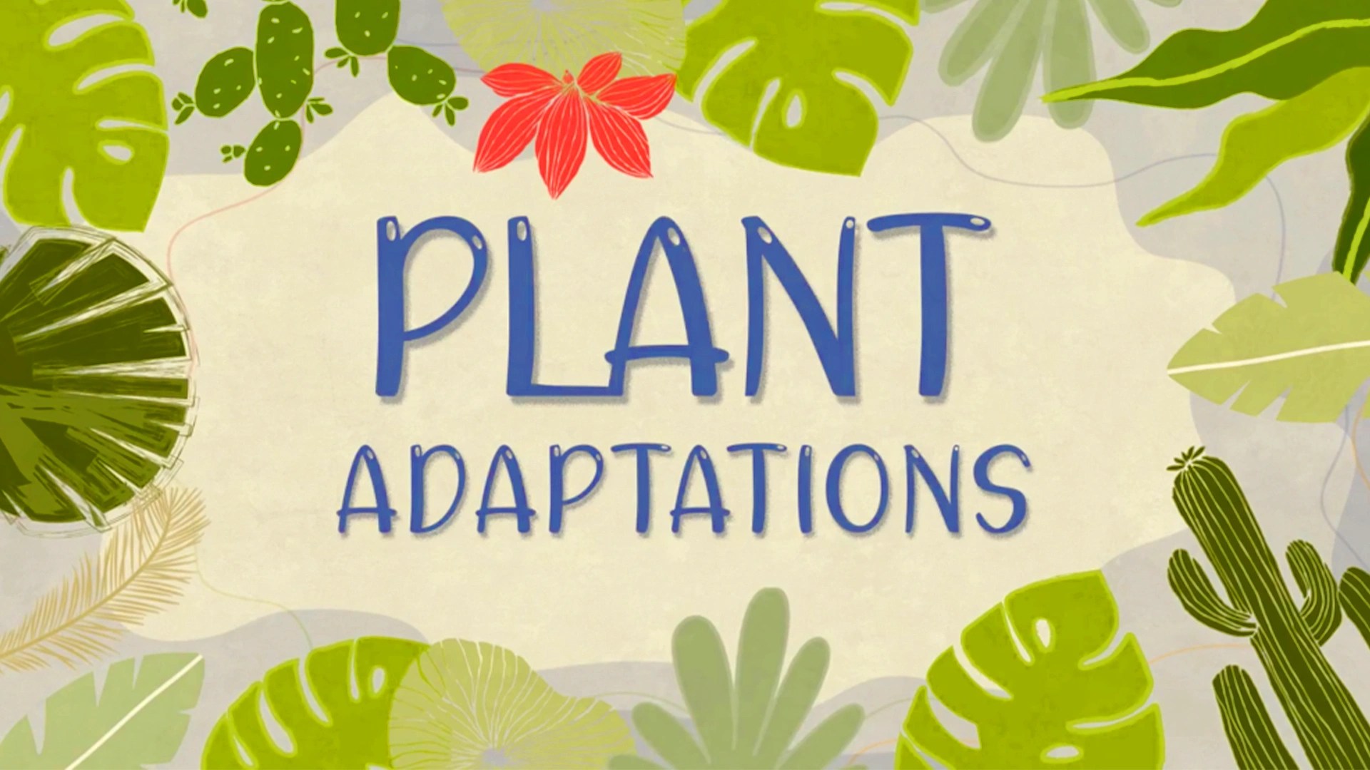 Plant Adaptations Video Resources Clickview