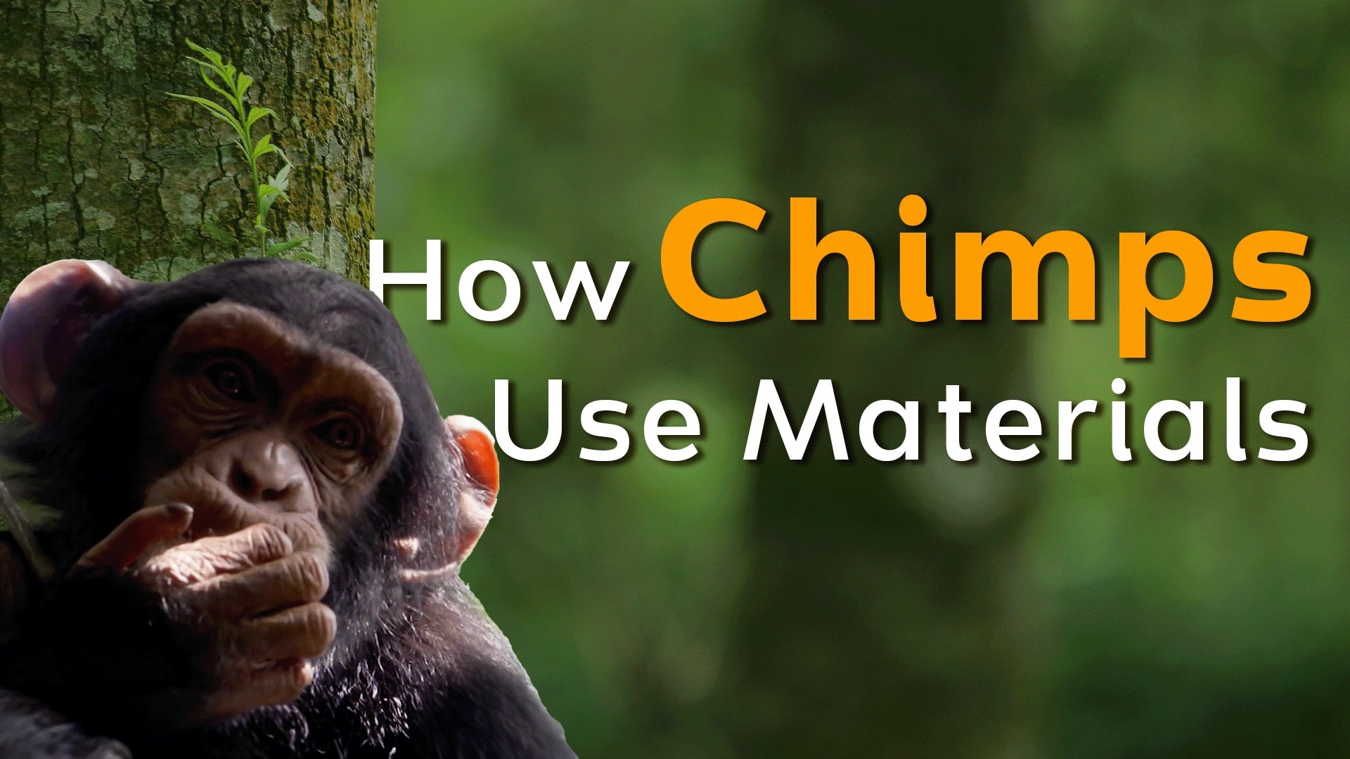 Classifying Materials Choosing Suitable Materials Clickview