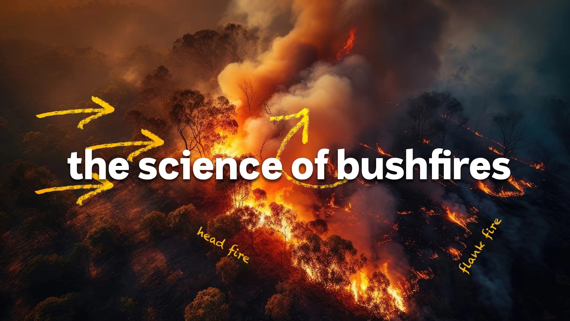 Bushfire Science Justina Breaks Down The Sc Clickview