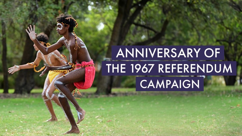 1967 Referendum Anniversary Saaccon - Landscape Pattern Collection - 8K Quality