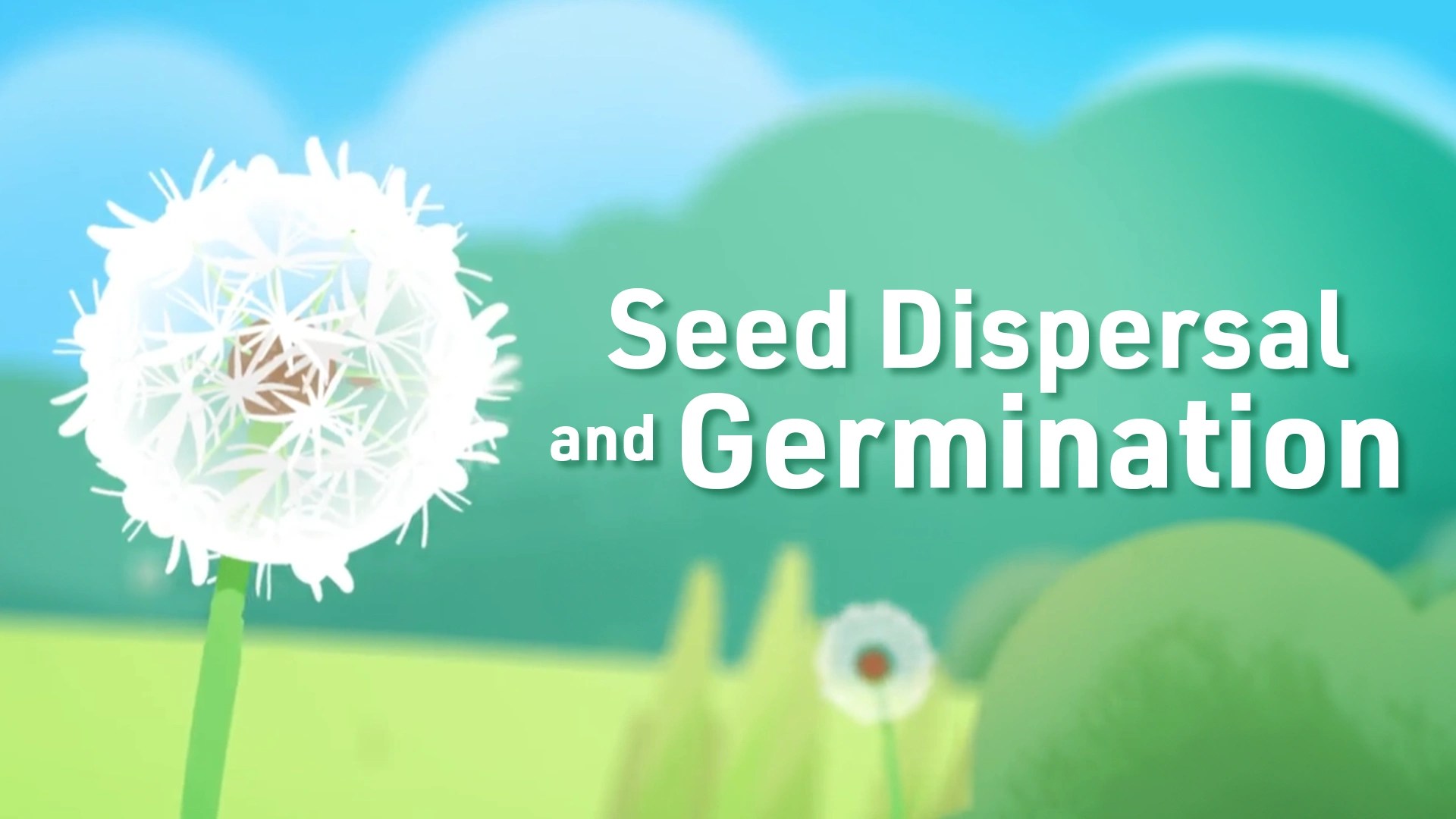 How Do Plants Spread Their Seeds Clickview