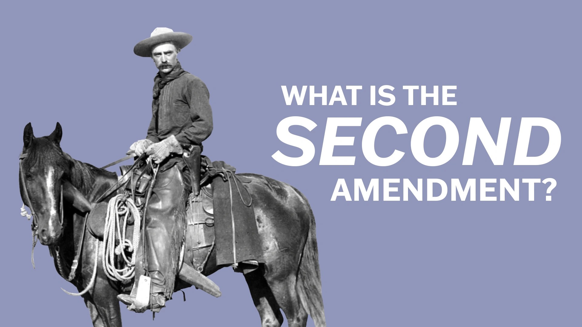 The Second Amendment Video Resources Clickview