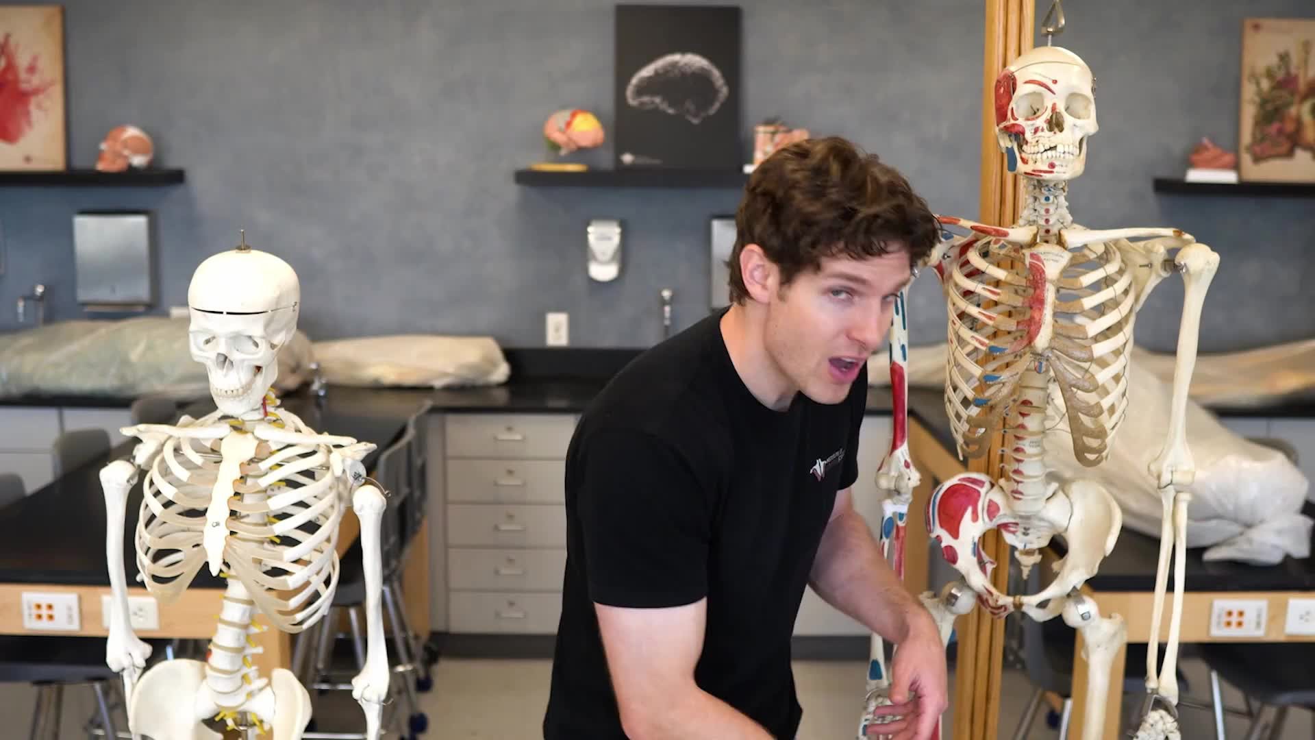How Your Bones Change With Exercise Clickview