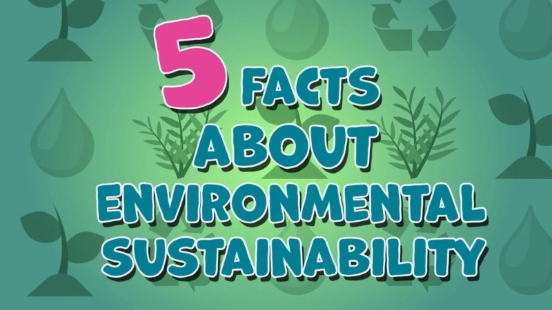 What Is Environmental Sustainability - Nature Designs - Beautiful Mobile Collection