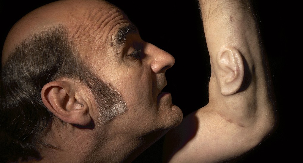 Bioarte El Impulso Cultural De La Ciencia
