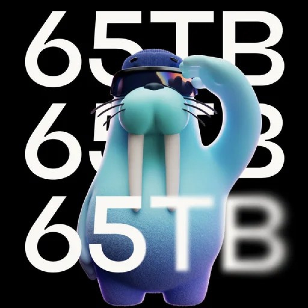 Allium Brings 65TB of Information from Bitcoin, Ethereum, Sui and Extra to Walrus – Decrypt