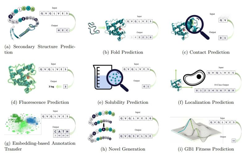 Github Agemagician Ankh Ankh Optimized Protein Language Model - Space Textures - Premium 8K Collection