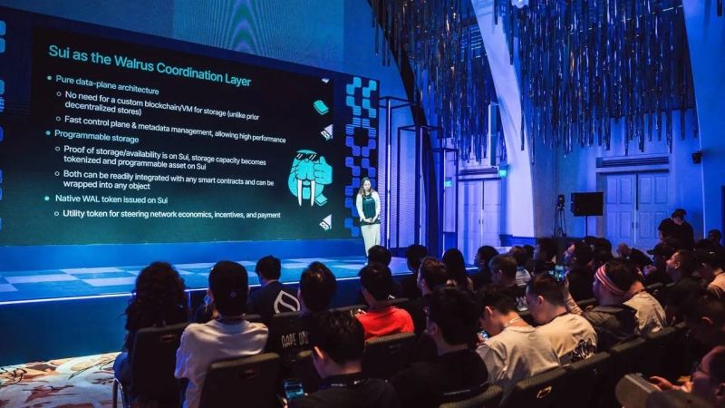 Walrus The Decentralized Web3 Storage Protocol - Premium Minimal Texture Gallery - Retina