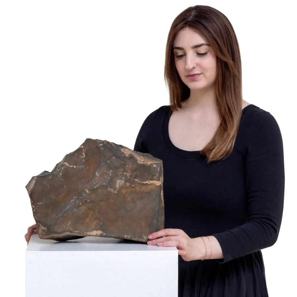 You Can Purchase a Martian Meteorite With Bitcoin—If You Have Upwards of  Million – Decrypt
