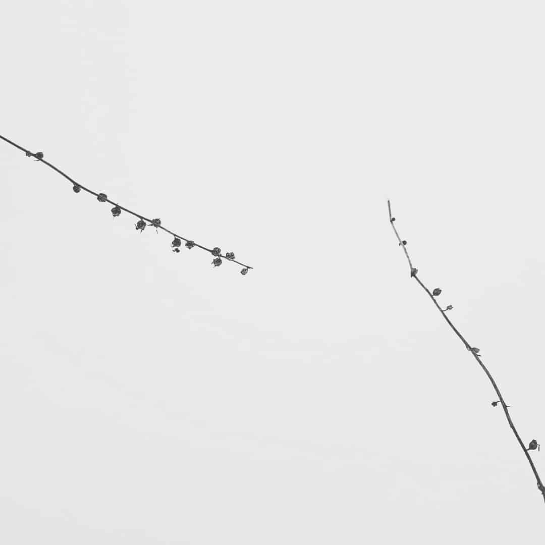 No Theme Design Ideas - Minimal Background Collection - 4K Quality