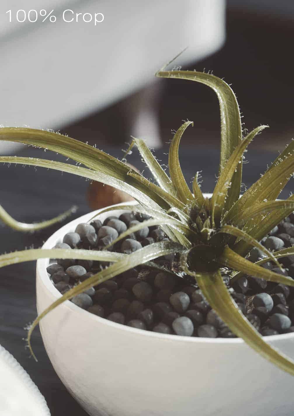 D2 Interior Design Ideas - Best Sunset Textures in Mobile