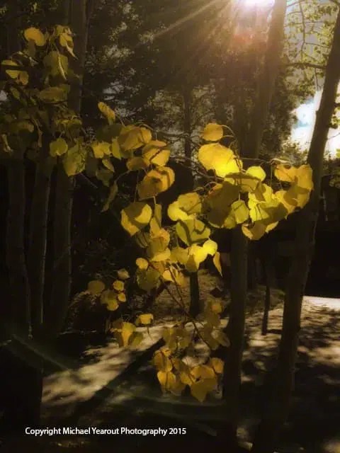 My Home Town Design Ideas - Download Perfect City Illustration | Mobile