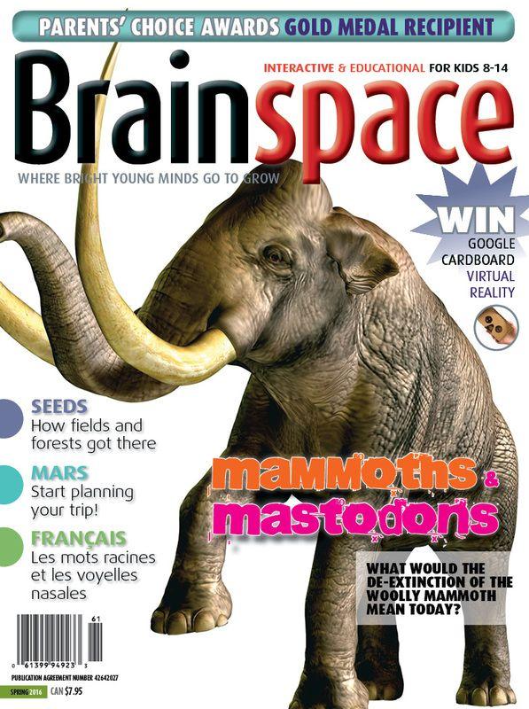 Issue 2 Brainscramble Magazine - Premium Abstract Image Gallery - Full HD