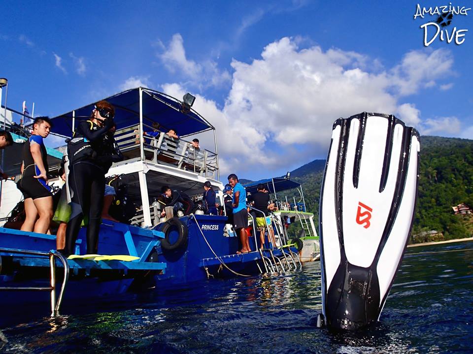 Amazing dive dive shop singapore