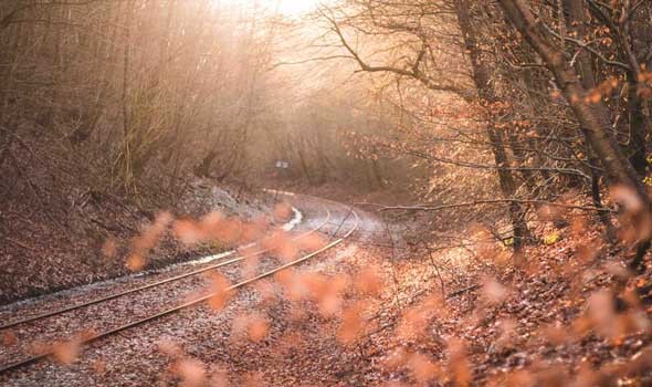 تحذيرات من تأثير درجات الحرارة المرتفعة على القلب