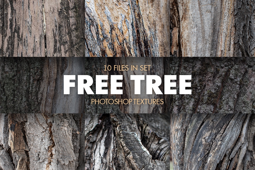 Tree Texture Background