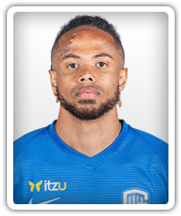 Stade Brestois 29 France Football Manager 2021 Fm21 Fm2021 S nghip cu lc b.