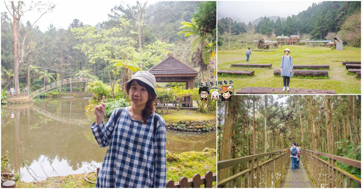 南投景點》避暑勝地！吸收芬多精，享受清爽森林浴的美好，健行賞景好地方：溪頭自然教育園區