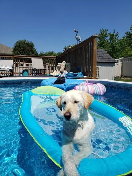 Lepar animal hospital