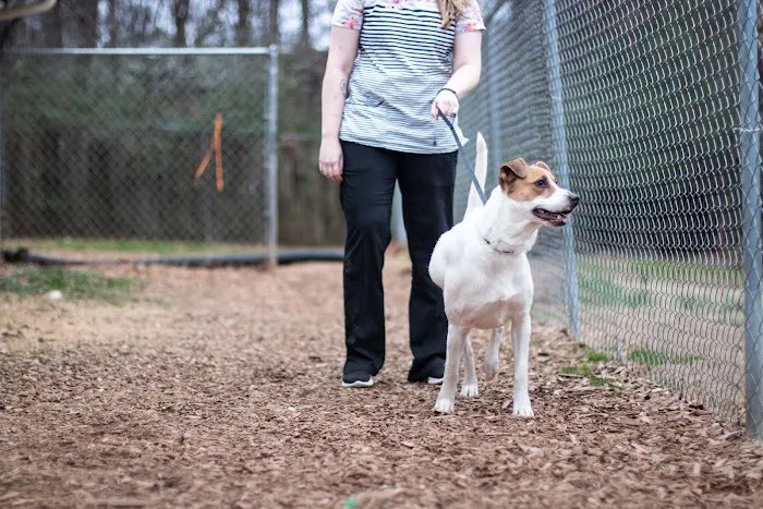 Hiram animal hospital