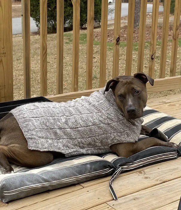 Suwanee animal hospital