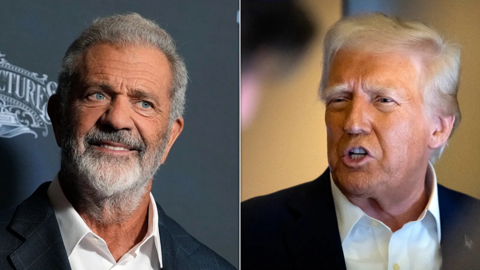 Mel Gibson On Trump's Visit To California: 'Daddy Arrived And He’s Taking His Belt Off'