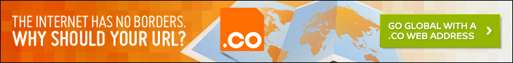 Go Global with a CO Web Address - NiceNIC.NET