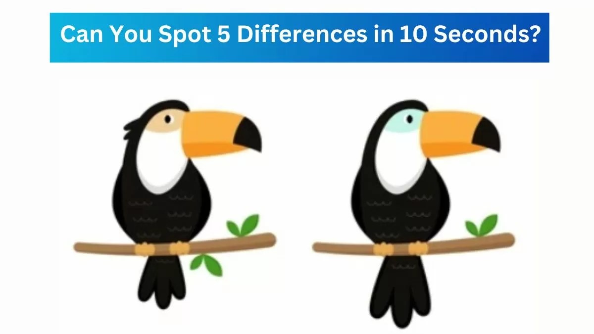 Spot the difference: can you spot 5 differences between the two images