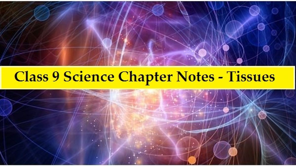 If you're unsure what one is, look through our list and learn about how they help with our daily lives. Cbse Class 9 Science Notes For Chapter 6 Tissues Part Ii