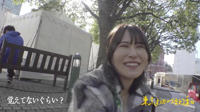 0006113_JAV_JapaneseAV_Censored_MGS_19min