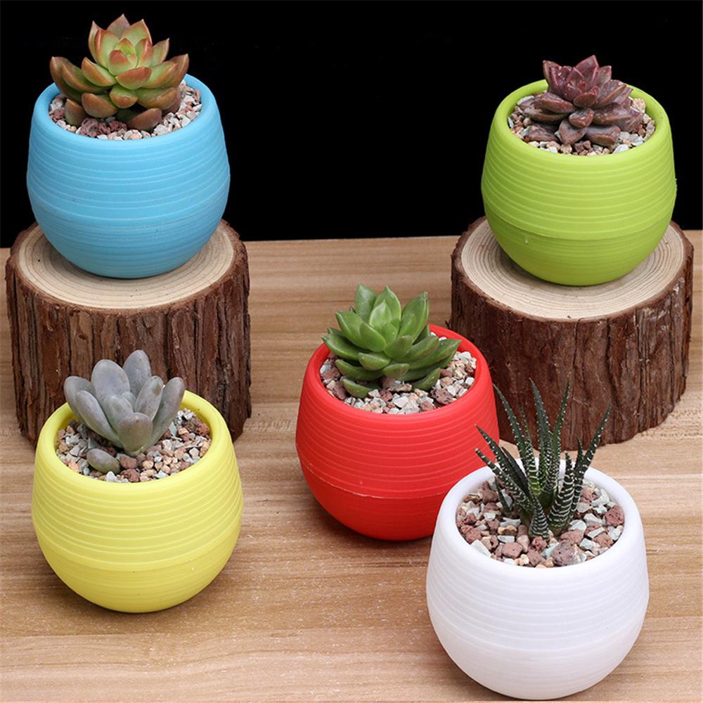 In addition, i created an inside pot for each planter with some holes in their . Buy Double Layer Pp Resin Flower Pot Succulent Plant Flowerpot Home Office Decor At Affordable Prices Free Shipping Real Reviews With Photos Joom