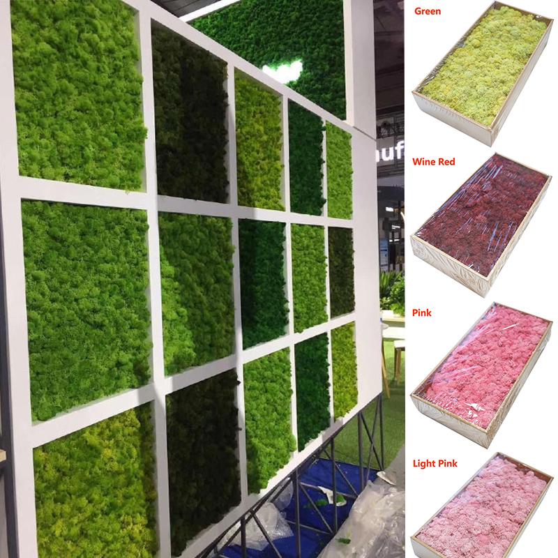 Once your grass wall is installed, verify that it is secure and then begin your decorating. Buy Diy High Quality Home Decoration Grass Wall Decor Fake Flower Moss Green Plant Room Immortal At Affordable Prices Free Shipping Real Reviews With Photos Joom