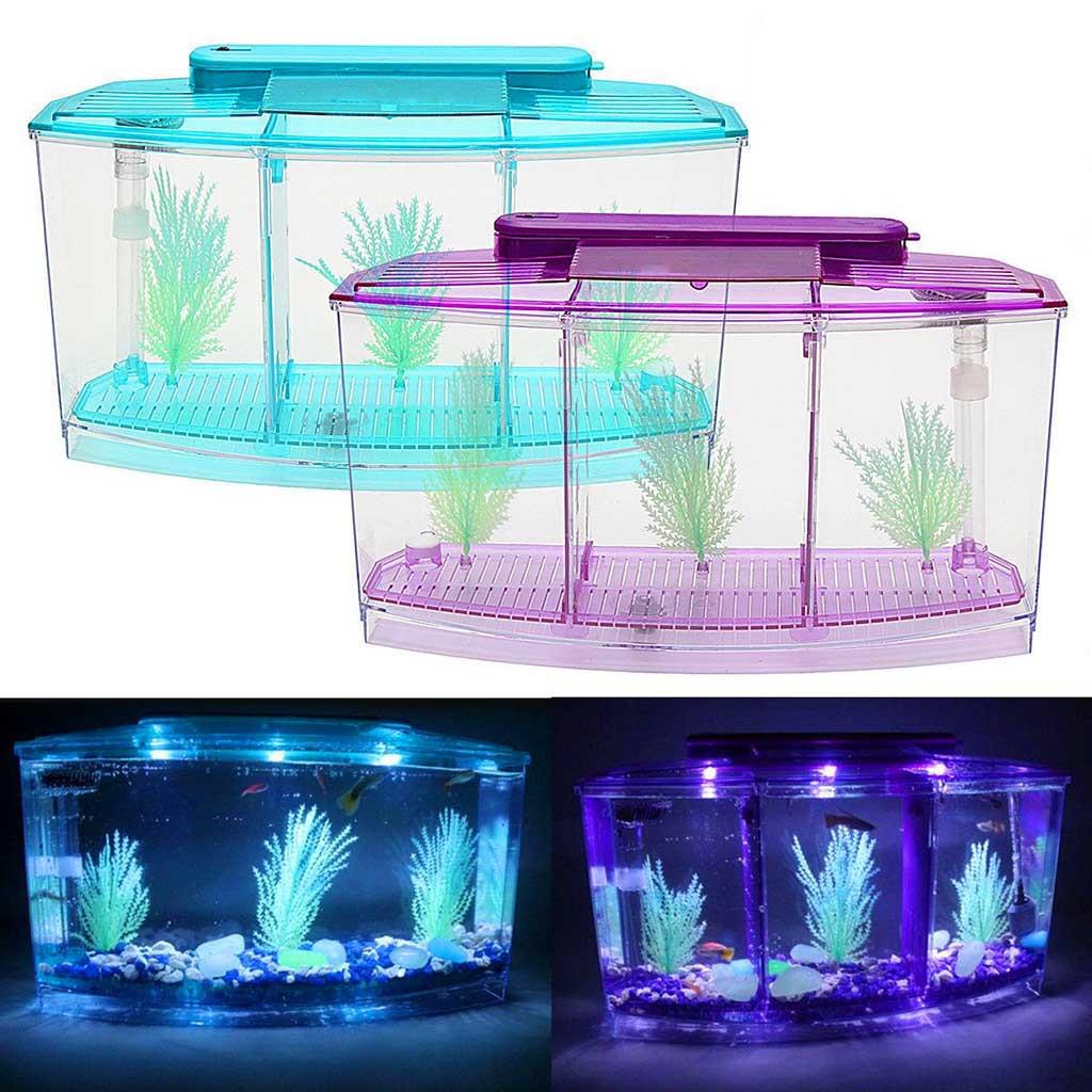 00 ringgit seekor mengikut umur, warna, jantina, bentuk ekor dan saiz. Mini Ryba Tank Akvarium Akvarium Akvarium Svetodiodnyj Svet Razdelitel Filtr Vody Kupit Nedorogo Vygodnye Ceny Besplatnaya Dostavka Realnye Otzyvy S Foto Joom