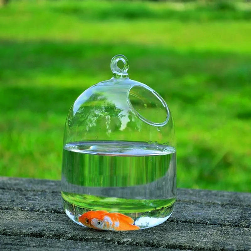 Live moss micro landscape green diy for terrarium palladium bonsai garden . Buy Stylish Hydroponics Wall Mounted Foam Fish Tank Glass Diy Flower Pot Vase Plant Home Decor At Affordable Prices Free Shipping Real Reviews With Photos Joom
