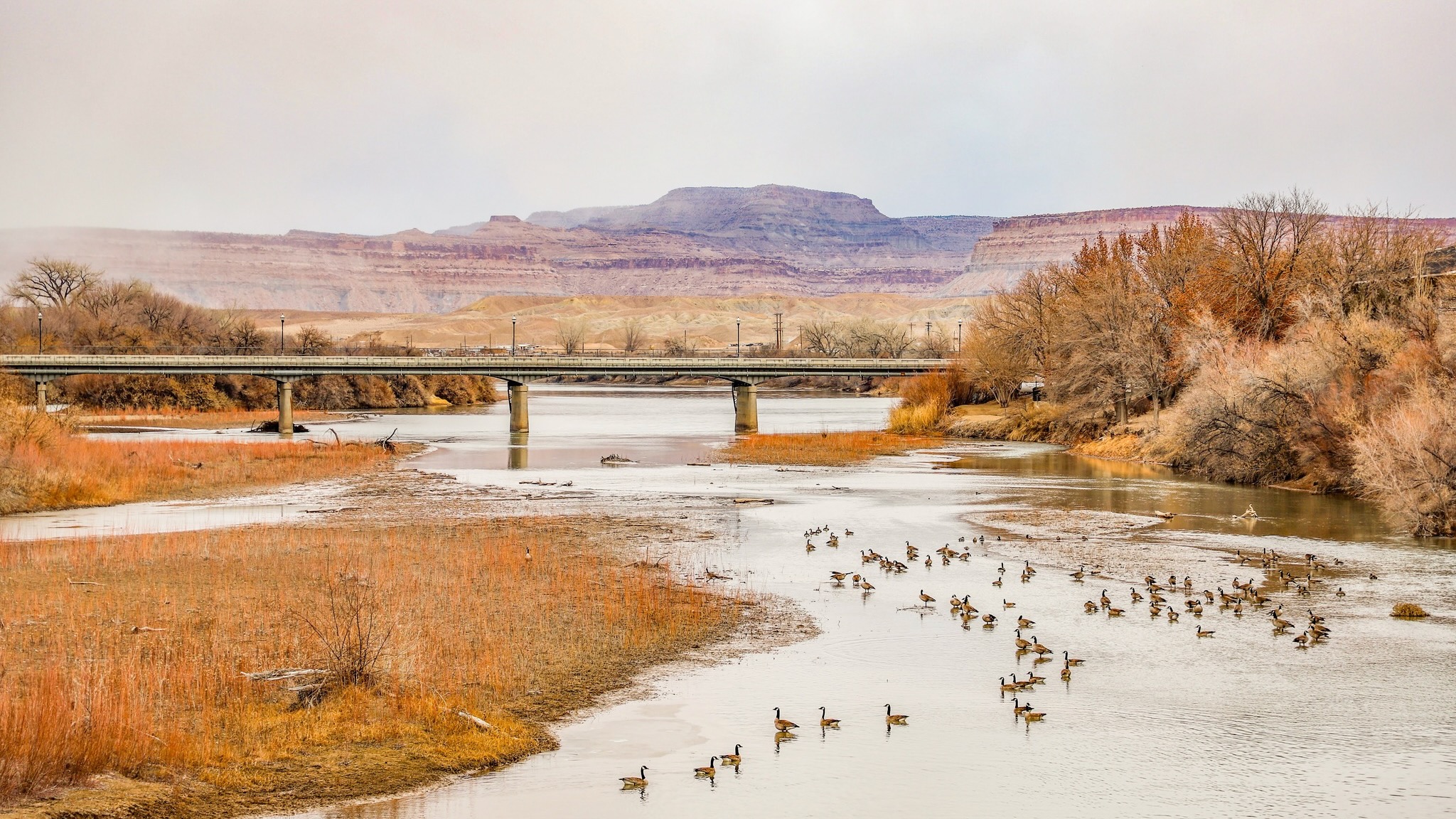 Green River's Nuclear Revival: Fulcrum Point and Blue Castle's Joint Venture (2026)
