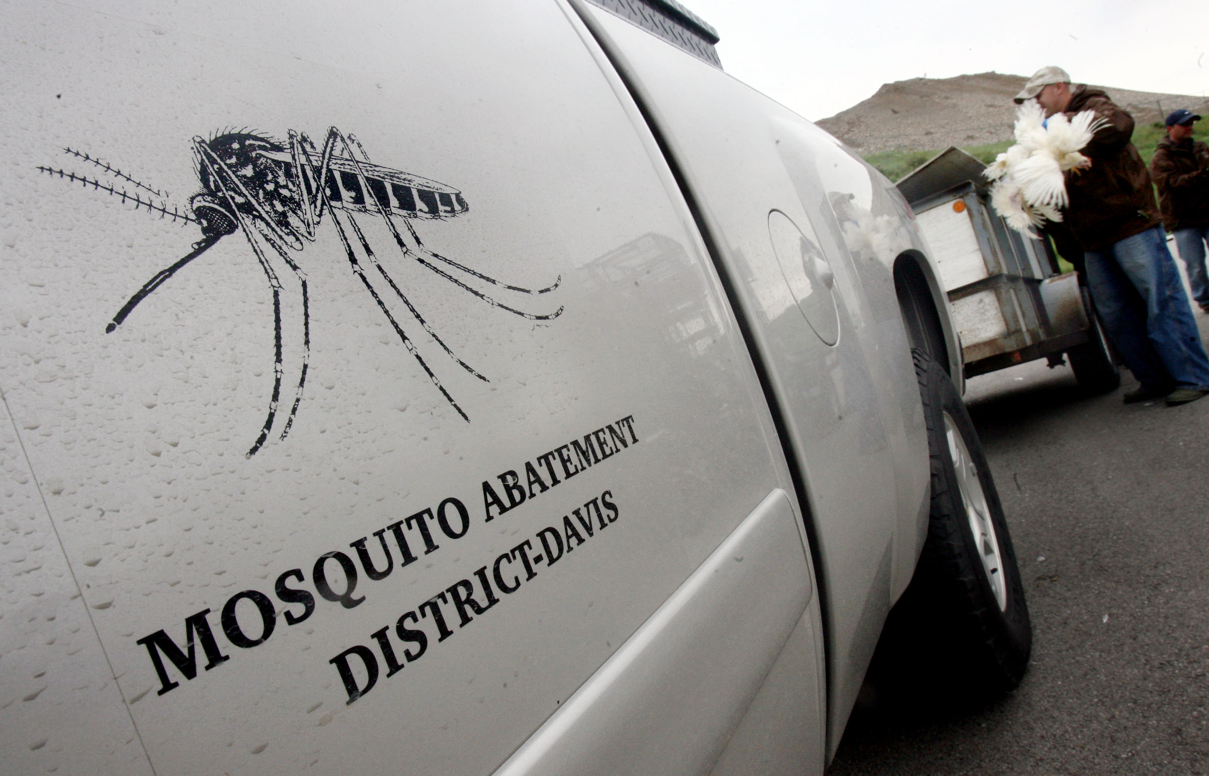 West Nile Virus: What You Need to Know About the Latest Outbreak in Davis County (2026)
