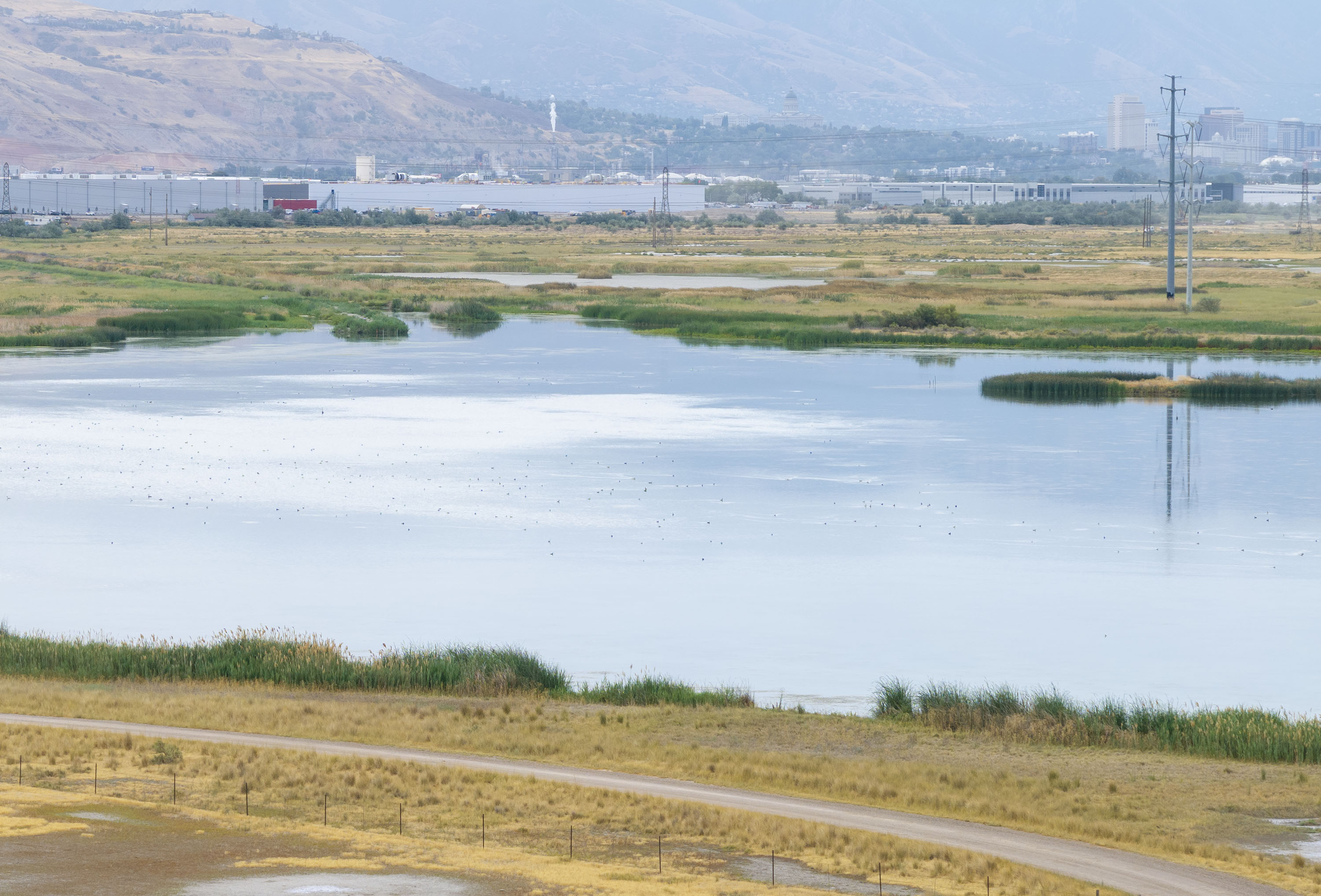 Salt Lake City's Water Crisis: New Ordinance to Limit Nonresidential Water Use (2026)