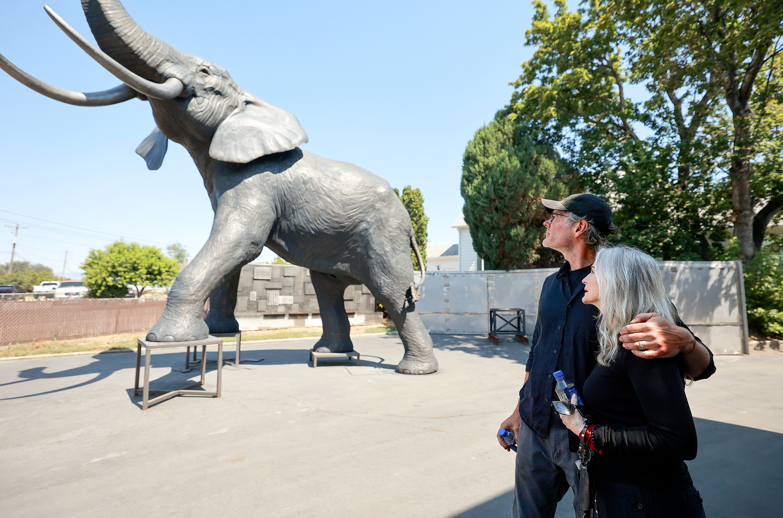 The Emotional Journey Behind Yumi, the 22-Foot Bronze Elephant (2026)