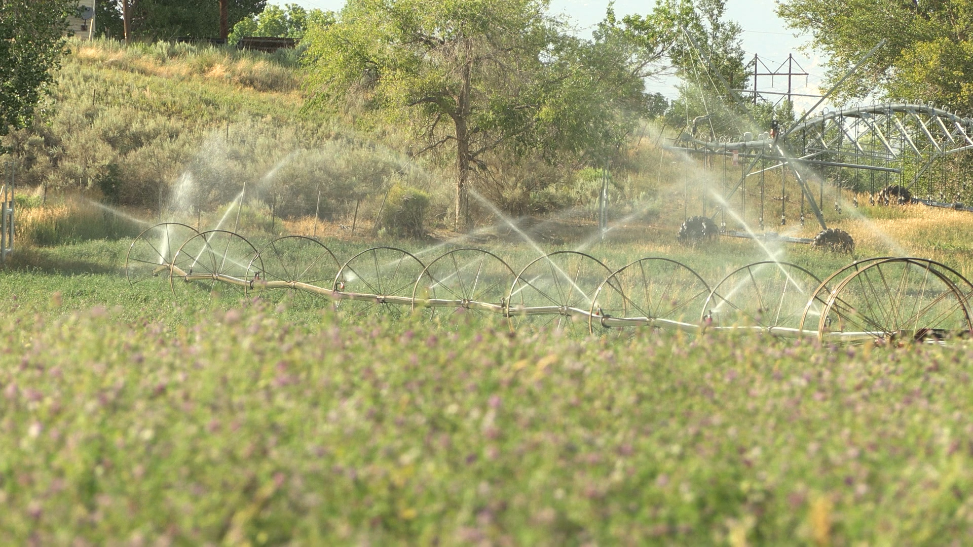 How Utah Farmers Are Saving Water in the Colorado River Basin | Ag-DRIP Program Explained (2026)
