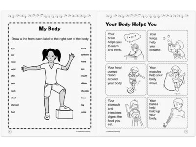 Instant Stem Activities Workbook Gr 1 At Lakeshore Learning - Professional 8K Light Backgrounds | Free Download