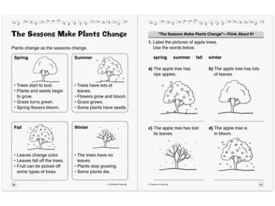 Instant Stem Activities Workbook Gr 1 At Lakeshore Learning - Colorful Pattern Collection - 8K Quality