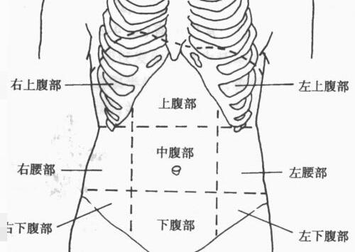 左下腹部痛懷孕懷孕初期的下腹痛 圖文懷孕日誌 Brzhk