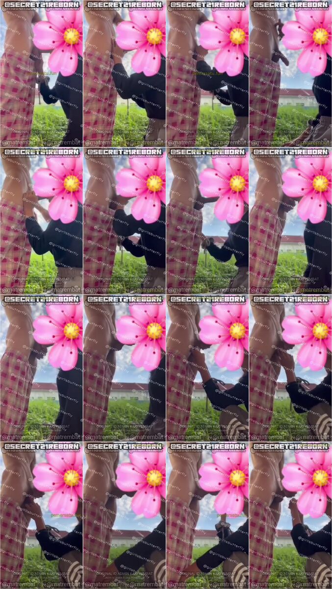 girllbutterfly big update 21agustus2026 (8)