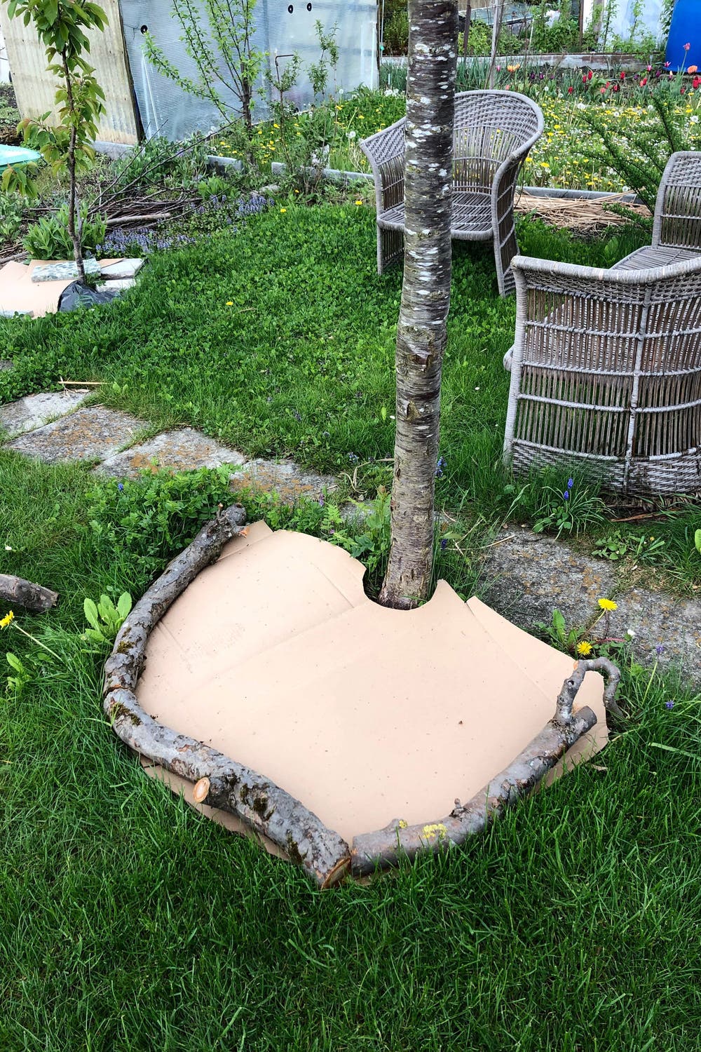 12 Garten Ohne Rasen Alternativen Zum Rasen Wright Landscaping