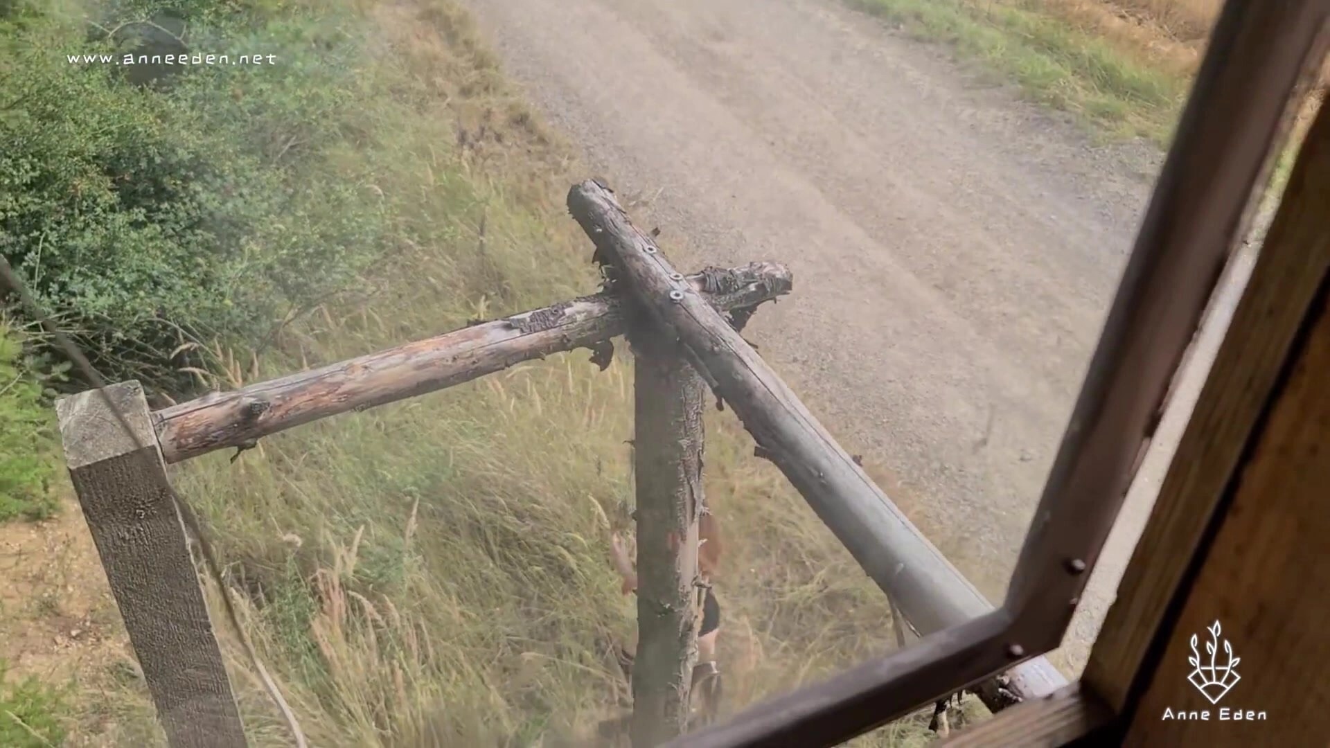 Eden gloryholeswallow