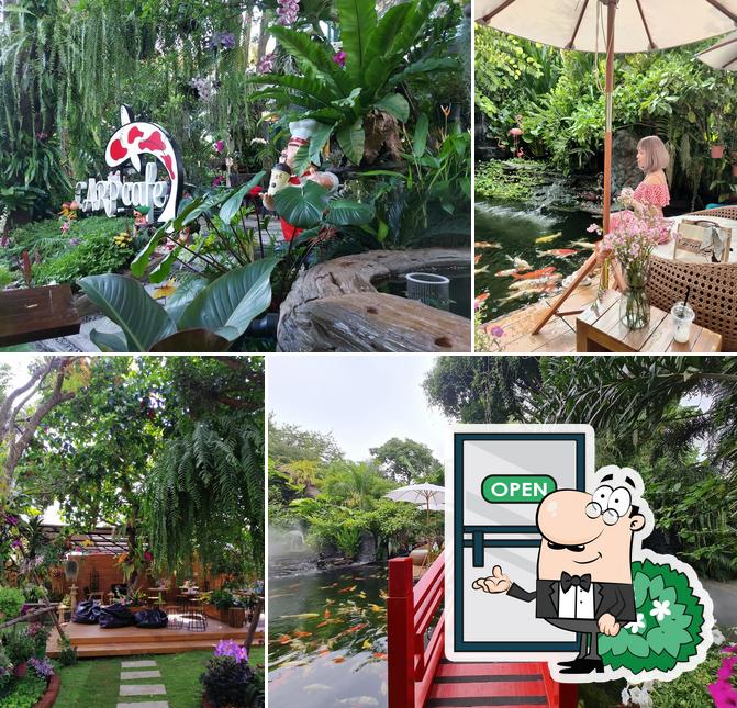 Ross Coffee Cafe Si Racha - Premium Mountain Art Gallery - Full HD