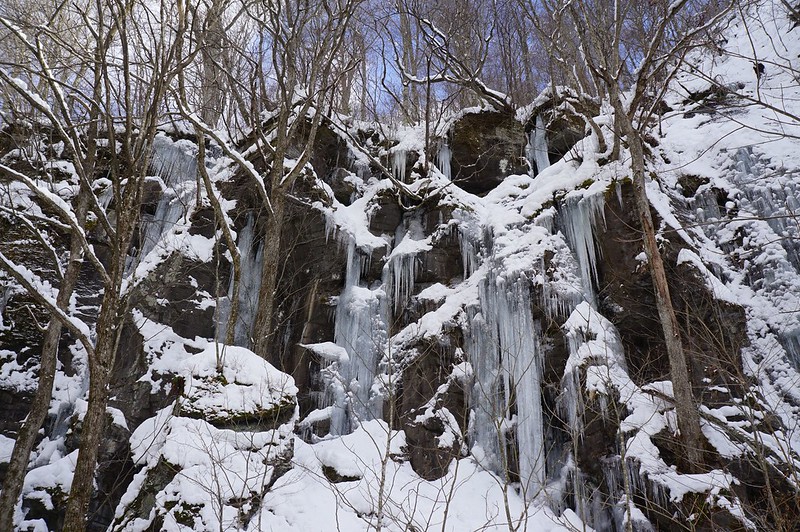 【青森】奧入瀨·十和田湖一日遊 (1)。搭JR Bus賞奧入瀨溪流冰瀑＋雪景