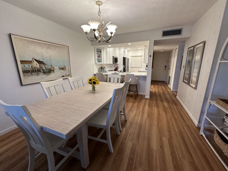 Siesta Dunes 2 103 - Premium Colorful Picture Gallery - Ultra HD